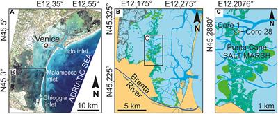 Detecting the Delayed Signatures of Changing Sediment Supply in Salt-Marsh Landscapes: The Case of the Venice Lagoon (Italy)